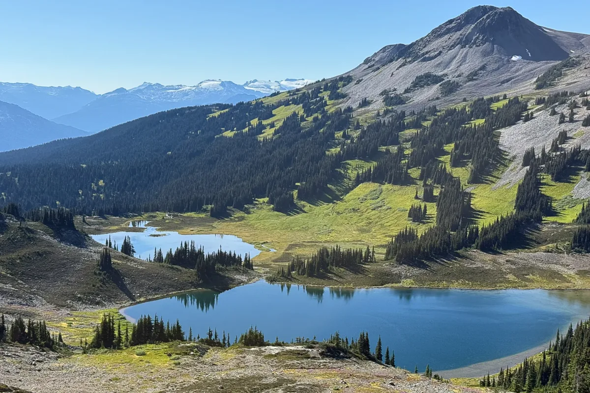 Calm alpine lake reflecting sky in summer with surrounding mountains and evergreen trees under clear midday light, Whistler, Canada