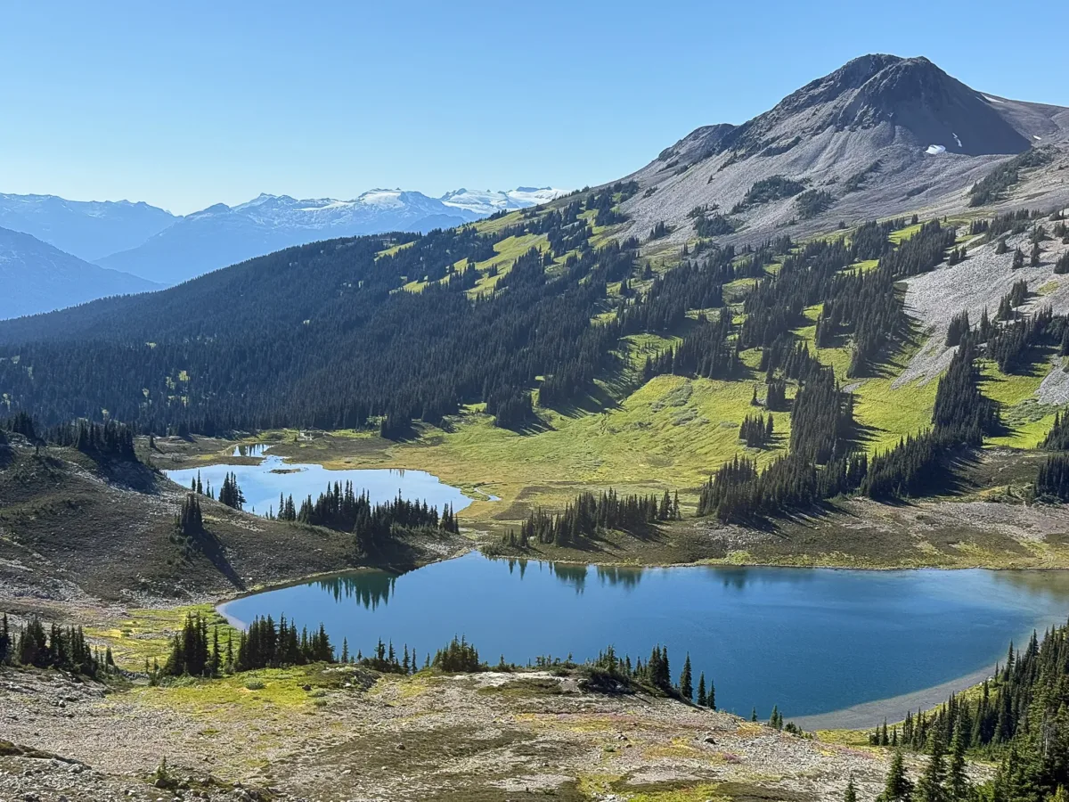 A calm alpine lake reflects a clear blue sky, framed by sunlit green slopes and distant snow-capped mountains in Whistler, Canada.