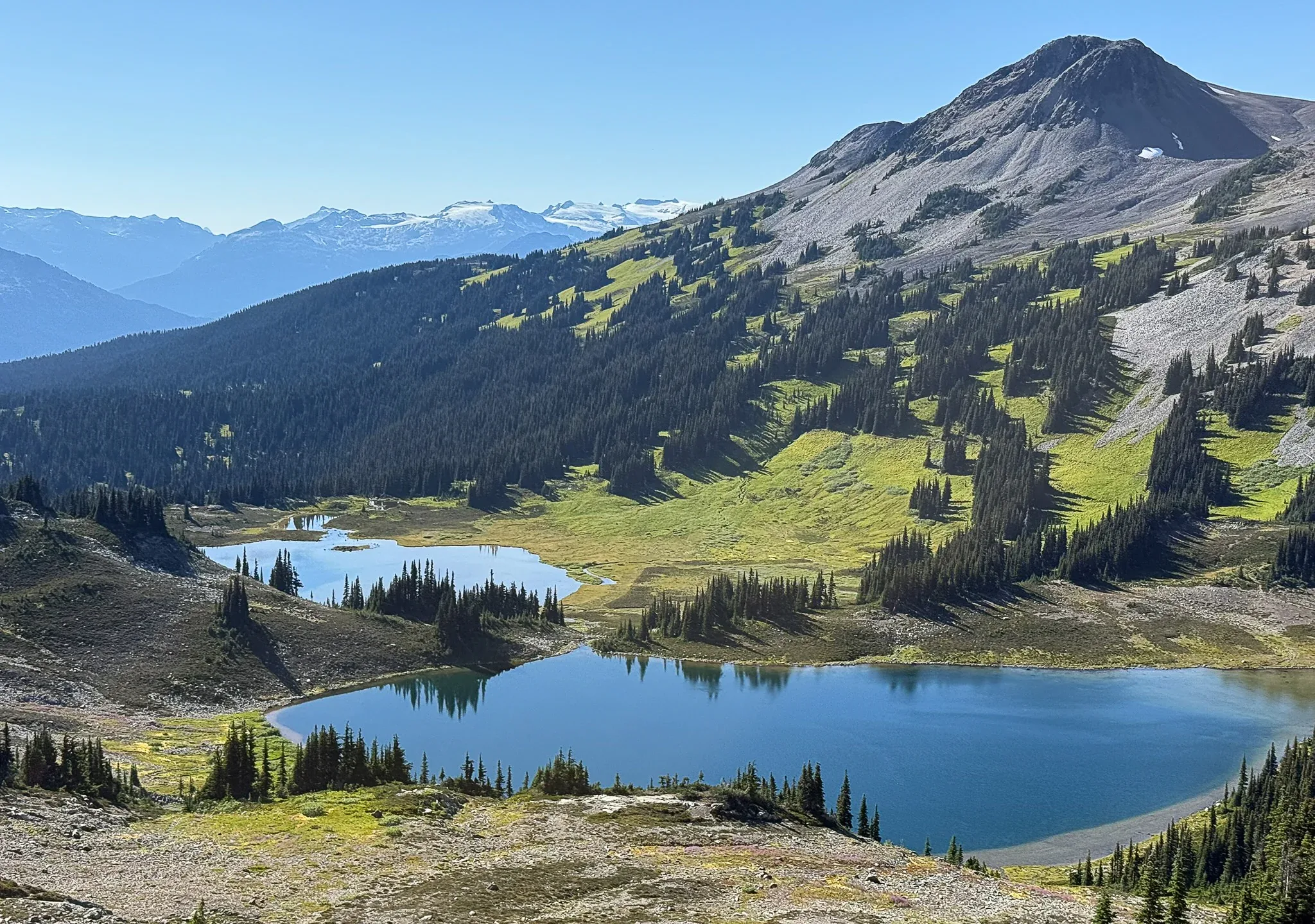 A calm alpine lake reflects a clear blue sky, framed by sunlit green slopes and distant snow-capped mountains in Whistler, Canada.