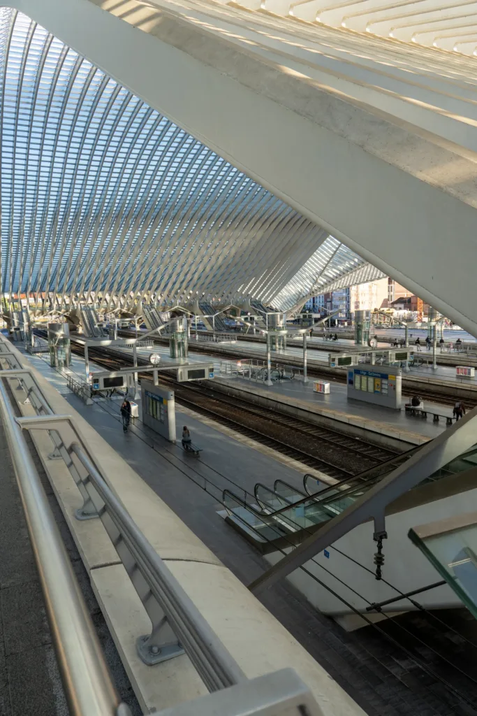 Liège-Guillemins station from above: platforms and tracks under Santiago Calatrava's white curved roof in soft morning light.